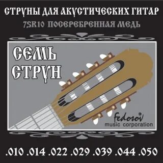 Fedosov 7SR10 Комплект струн для 7-струнной акусти 7SR10